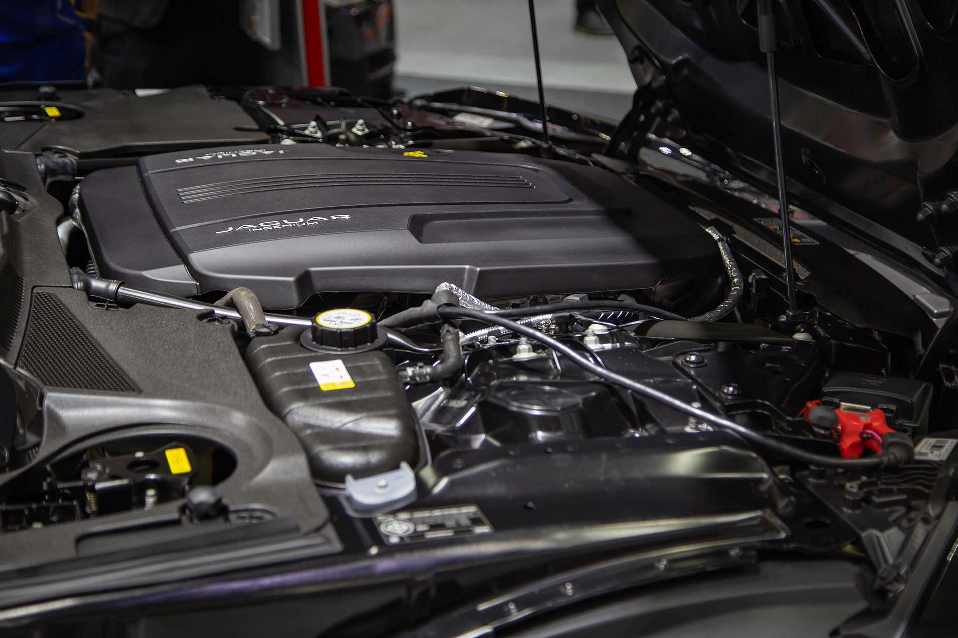 Jaguar auto repair - Pit Shop European - Grayslake Libertyville area - Under the Hood